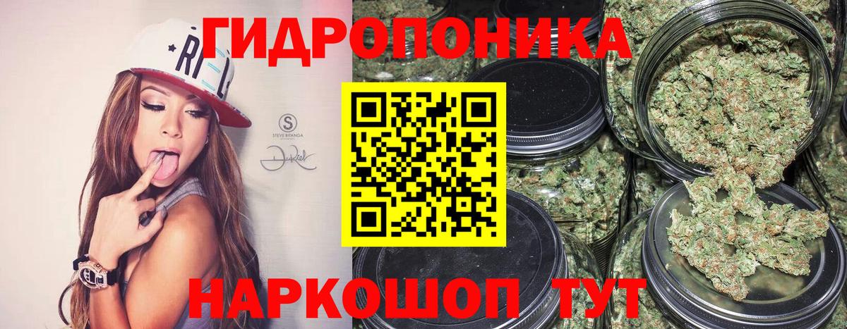Каннабис Amnesia Рославль